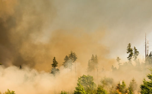Bruce Power donates $10,000 to wildfire relief efforts through Canadian Red Cross