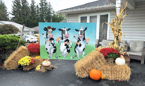 Three in race to become Ripley-Huron Fall Fair junior ambassador