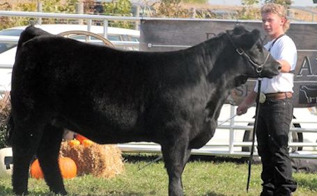 Results from the 152nd Ripley-Huron Fall Fair