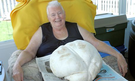 Kincardine woman receives giant puffball from friends in Tiverton