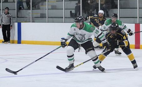 Wolves chalk up two wins and a loss in past couple of weeks