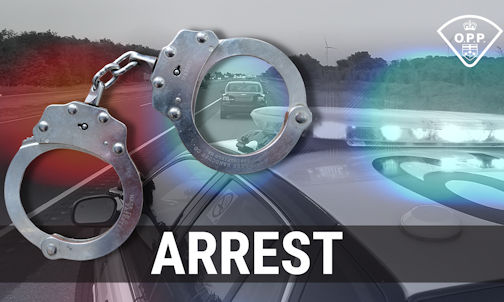 Driver faces criminal charges following traffic stop