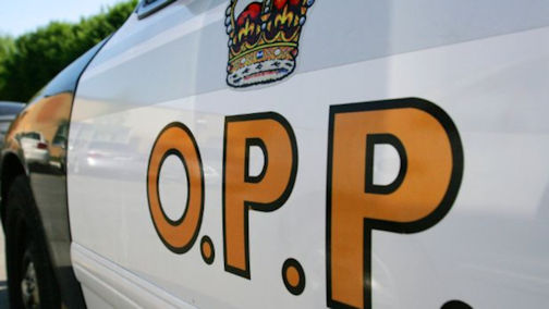West Region OPP hosting auxiliary constable information sessions