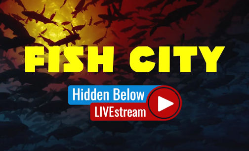 Walker House Museum hosting live stream watch party: Fish City
