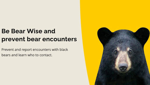 Ontario government and OPP urge people to be Bear Wise