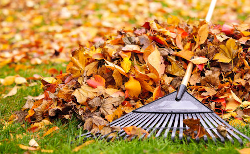 ​Kincardine fall yard waste depots to open Oct. 10