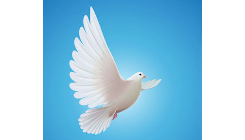 ​Rhoda Chesbro, formerly of Kincardine, dies at the age of 88