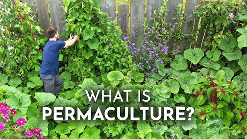 ​Kincardine Horticultural Society learns about permaculture