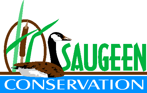 Saugeen Conservation offering horse camping at Saugeen Bluffs this summer
