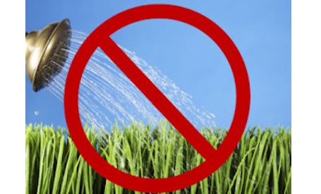 â€‹Township declares lawn-watering ban, partial open-air fire ban