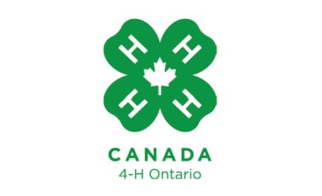 4-H Discovery Days are back for youth, ages six to 12