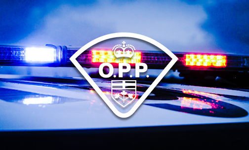 South Bruce OPP seek public's assistance with fail-to-remain collision