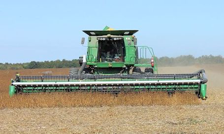 Harvest time in Huron-Kinloss