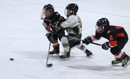 Ripley Novices down two games in playoffs