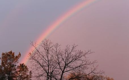A rainbow after the rain