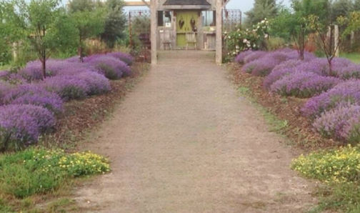 ​Bloom and bid: a fun fund-raiser you’ll dig!