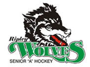 Wolves fall to Huron East Centenaires, 8-7, in overtime 