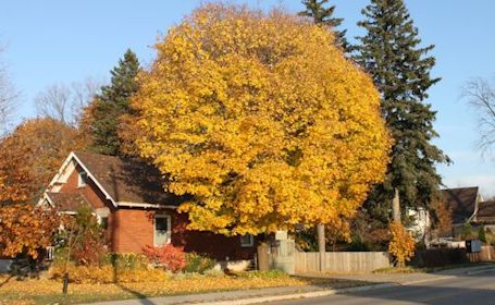 Beautiful sunny, warm November day in Kincardine