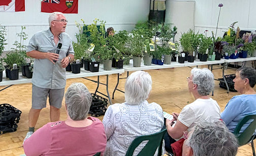 Walkerton horticulturist urges gardens full of native and pollinator plants